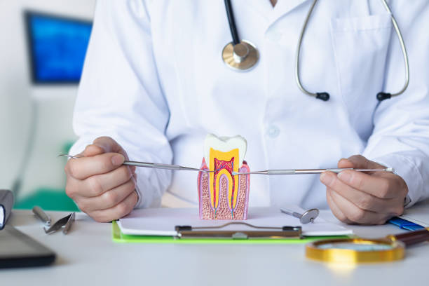 Best Emergency TMJ Treatment in Biglerville, PA